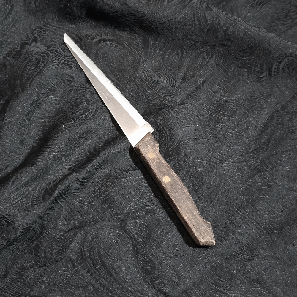 Vintage Wood Handle Steak Knife Serrated Stainless Blade Rustic MCM Kitchen Tool